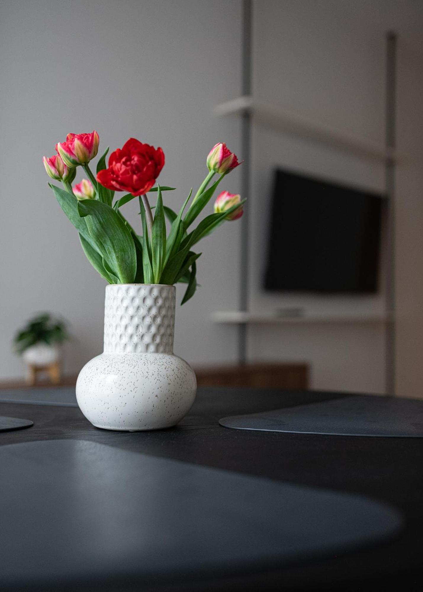 Apartament Mlynow وارسو المظهر الخارجي الصورة